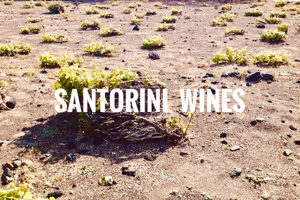 santorini-the-wine